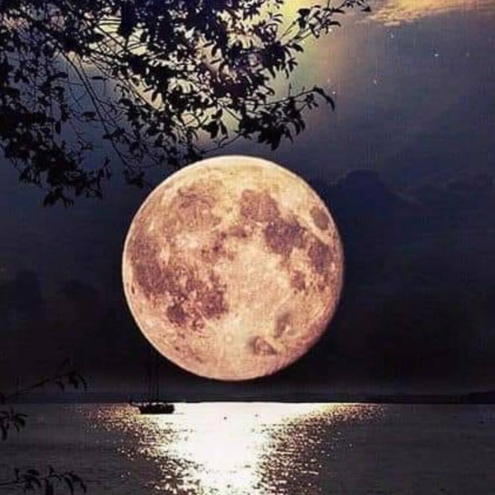 Meet your Posher, Diana